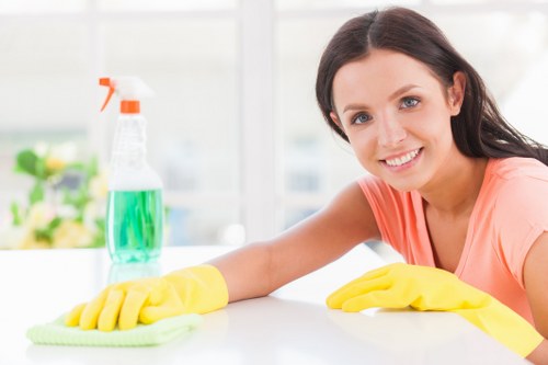 Professional pet stain odour removal in a Gospel Oak living room