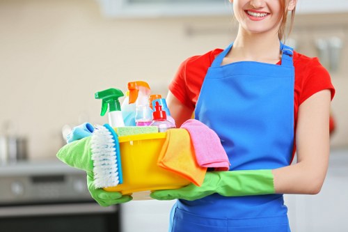 Professional carpet cleaning in a Gospel Oak home