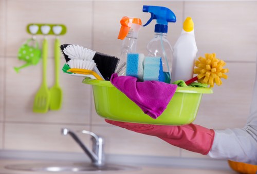 Risk assessment carried out before cleaning in a home