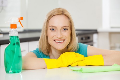 Enzyme cleaning for pet accidents in a Gospel Oak home