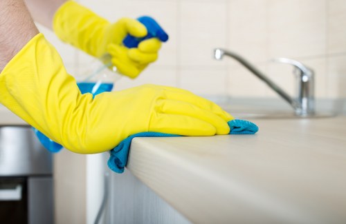 Specialist equipment for pet stain odour removal in Gospel Oak