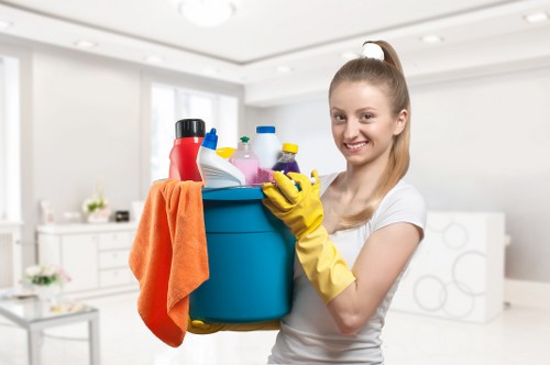Deep carpet cleaning process in a local home to remove embedded dirt and refresh fibres